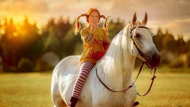 s_pippi langstrumpf Wissenswertes Schwedisch - Spracheninstitut Universität Leipzig